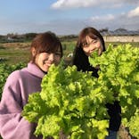 農業公園ぽんぽこ村に投稿された画像（2019/3/15）