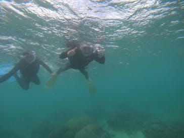 武藤潜水に投稿された画像（2019/5/21）