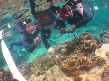 沖縄ダイビングショップシーモールに投稿された画像（2019/1/4）