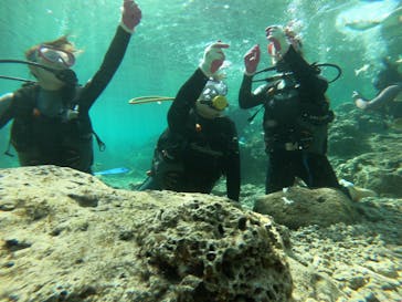 武藤潜水に投稿された画像（2019/4/2）