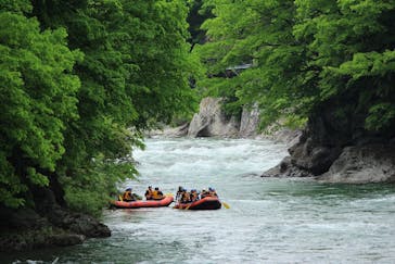 ネイチャー・ナビゲーター（みなかみ）に投稿された画像（2018/5/13）
