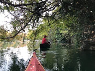 カヌーリゾートたまよどに投稿された画像（2018/11/17）