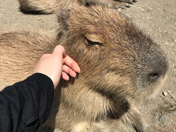 アロハガーデンたてやまに投稿された画像（2019/5/24）