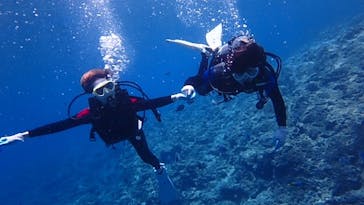 diving&workshop IHANASHI（ダイビングアンドワークショップイハナシ）に投稿された画像（2019/5/15）