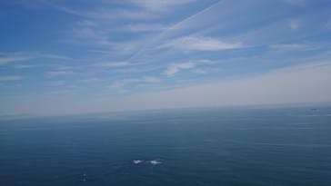 松島熱気球・パラグライダー体験に投稿された画像（2019/6/2）