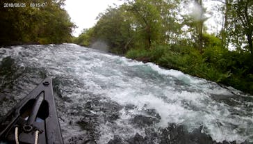 Matatabi（マタタビ）に投稿された画像（2018/9/2）