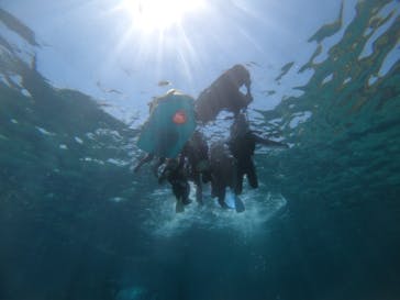 武藤潜水に投稿された画像（2019/5/24）