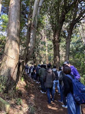 ツリークロスアドベンチャー厚木・七沢に投稿された画像（2019/3/3）