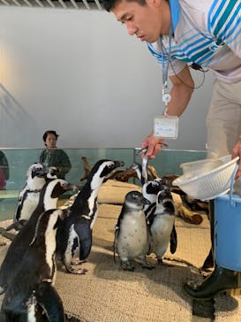 NIFREL（ニフレル）に投稿された画像（2018/12/24）