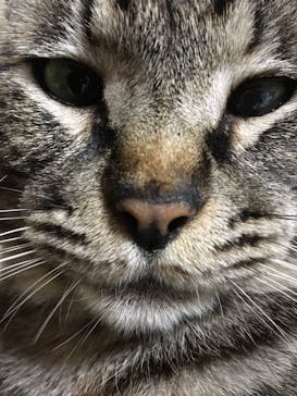 HASE（ハセ）硝子工房に投稿された画像（2019/5/5）