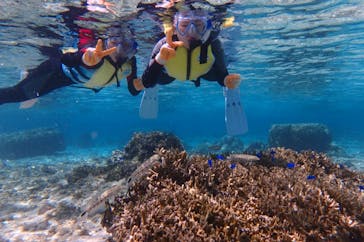 diving&workshop IHANASHI（ダイビングアンドワークショップイハナシ）に投稿された画像（2019/3/5）