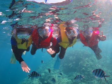 diving&workshop IHANASHI（ダイビングアンドワークショップイハナシ）に投稿された画像（2018/9/13）