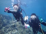 武藤潜水に投稿された画像（2019/5/2）
