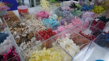 ずこうしつ〜sugamo〜に投稿された画像（2019/3/3）