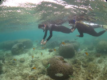 diving&workshop IHANASHI（ダイビングアンドワークショップイハナシ）に投稿された画像（2018/7/4）