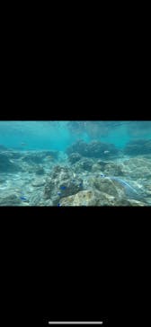 青の洞窟専門店　沖縄ダイビングショップ和に投稿された画像（2019/3/6）