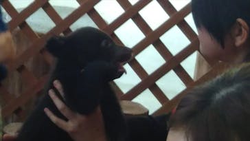 阿蘇カドリー・ドミニオンに投稿された画像（2018/5/5）