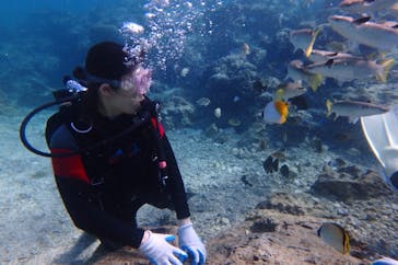 diving&workshop IHANASHI（ダイビングアンドワークショップイハナシ）に投稿された画像（2018/11/14）