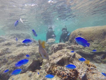 武藤潜水に投稿された画像（2018/2/4）