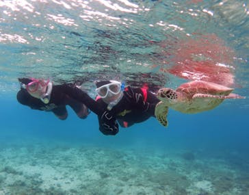 アマミエンシスに投稿された画像（2018/3/23）