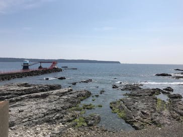 串本海中公園水族館に投稿された画像（2018/3/12）