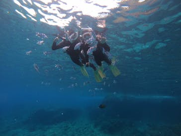 武藤潜水に投稿された画像（2019/5/9）