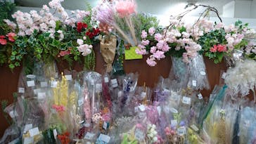 ずこうしつ〜sugamo〜に投稿された画像（2019/4/3）