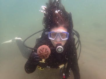 沖ノ島ダイビングサービスマリンスノーに投稿された画像（2018/11/13）