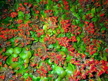 石垣島 ADVENTURE PiPi（イシガキジマアドベンチャーピピ）に投稿された画像（2019/2/26）