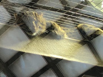 鳥羽水族館に投稿された画像（2019/5/8）