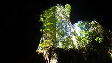 屋久島ガイドクラブに投稿された画像（2019/3/8）