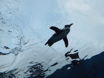 サンシャイン水族館に投稿された画像（2018/8/19）