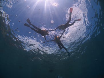 diving&workshop IHANASHI（ダイビングアンドワークショップイハナシ）に投稿された画像（2018/7/24）