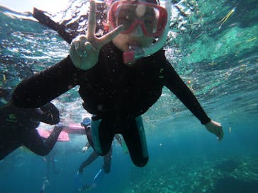 武藤潜水に投稿された画像（2019/5/24）