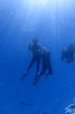 diving&workshop IHANASHI（ダイビングアンドワークショップイハナシ）に投稿された画像（2018/9/22）