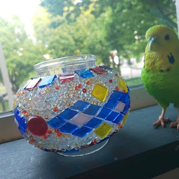 hand craft shop kinari（ハンドクラフトショップキナリ）に投稿された画像（2019/5/4）