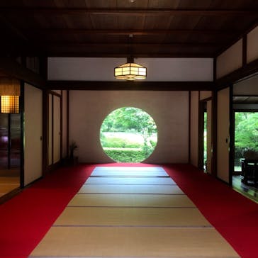 たからの窯に投稿された画像（2019/5/5）