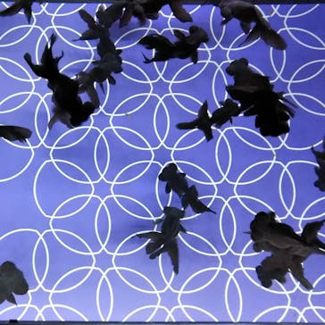 すみだ水族館に投稿された画像（2019/1/3）