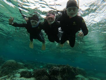 武藤潜水に投稿された画像（2019/2/16）