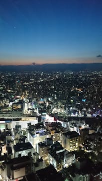 サンシャイン水族館に投稿された画像（2018/8/2）