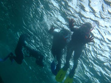 沖縄ダイビングショップシーモールに投稿された画像（2019/2/13）