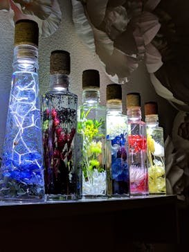 ずこうしつ〜sugamo〜に投稿された画像（2019/2/19）