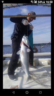 宮古旅倶楽部に投稿された画像（2018/11/9）