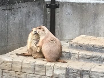 伊豆シャボテン動物公園に投稿された画像（2018/11/18）