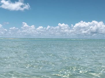 宮古島BLUE（ミヤコジマブルー）に投稿された画像（2019/2/25）