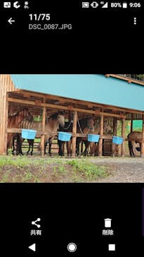 函館どさんこファームに投稿された画像（2018/8/20）