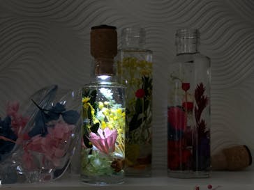 ずこうしつ〜sugamo〜に投稿された画像（2019/2/23）