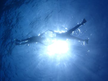 WILD BLUE宮古島に投稿された画像（2018/5/21）