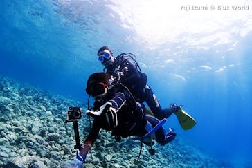 ブルーワールドに投稿された画像（2018/9/13）