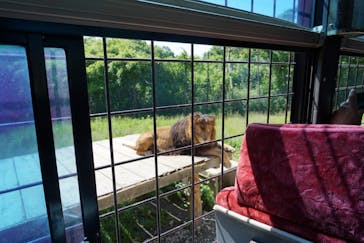 那須サファリパークに投稿された画像（2018/6/2）